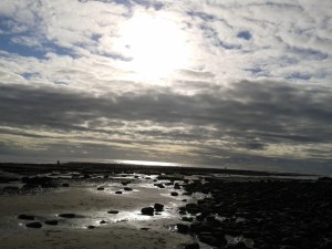 This photo captured the mood of the book for me