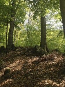 Optimized-A rock with a painted face