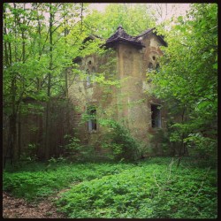 Optimized-The house was tucked away